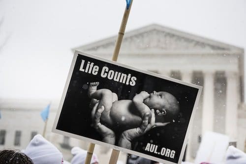 Buckle up, it’s going to be an exciting year for the pro-life movement